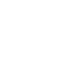 全99品