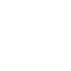 全117品